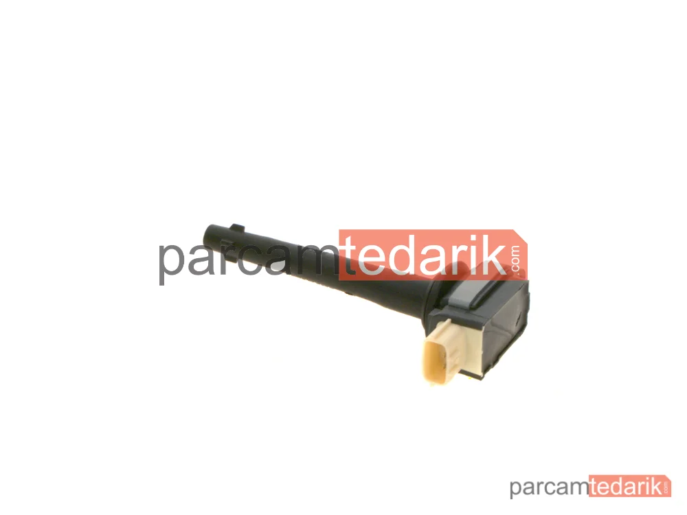 Ateşleme Bobini — Renault Latitude, Renault Megane CC, Renault Megane III - 0221504030