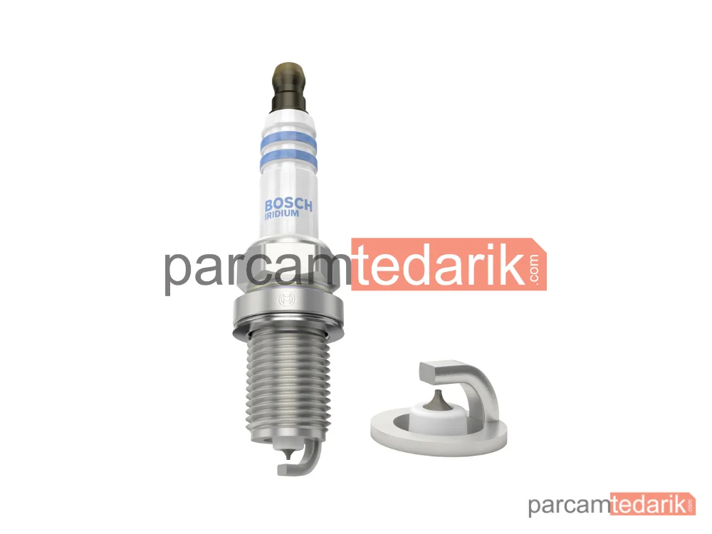 BOSCH 0242229745 | Buji