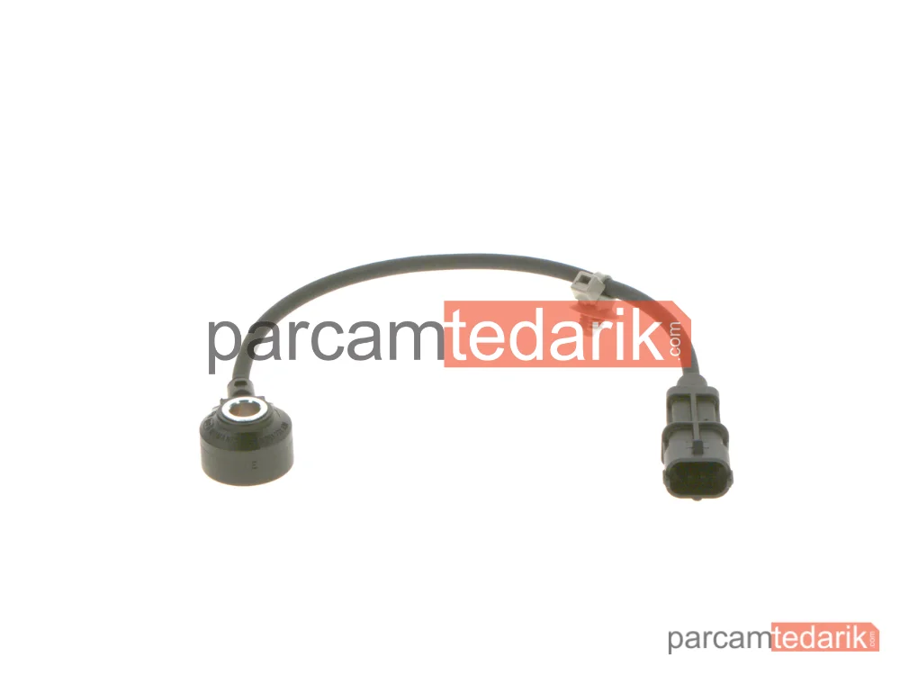 Motor Elektriği - 0261231330