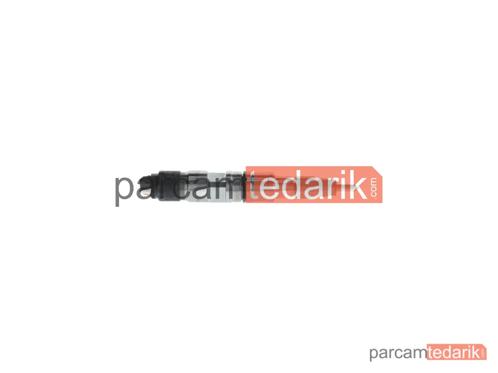 0445120246 | Enjektör