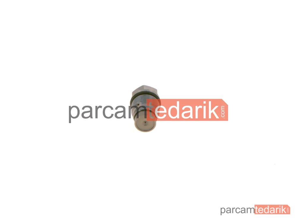 1110010024 | Yüksek Basınç Pompası — MAN Tgs I