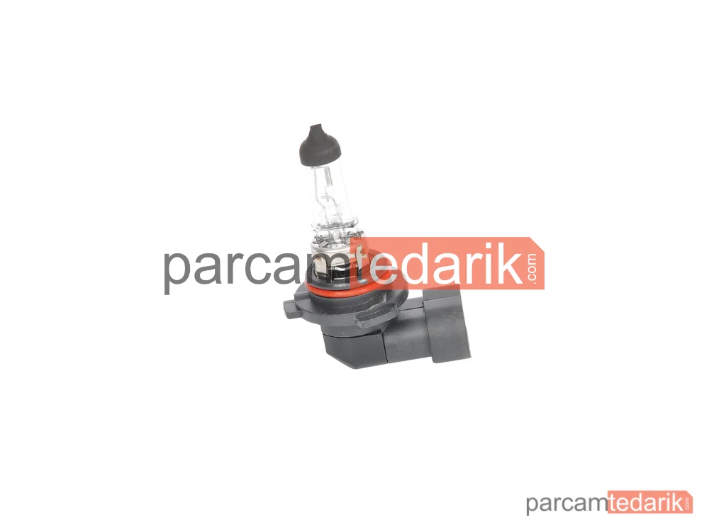 BOSCH 1987302808 | Ampuller — BMW 5, BMW 3 Touring, BMW 5 Touring