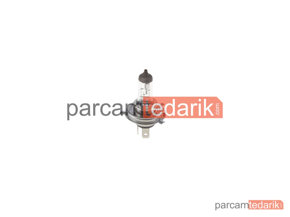 BOSCH 1987302441 | Ampuller — MAN Tgs I