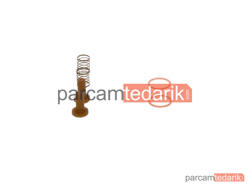 BOSCH 2447010011 | Mazot Pompa Tamir Takımı