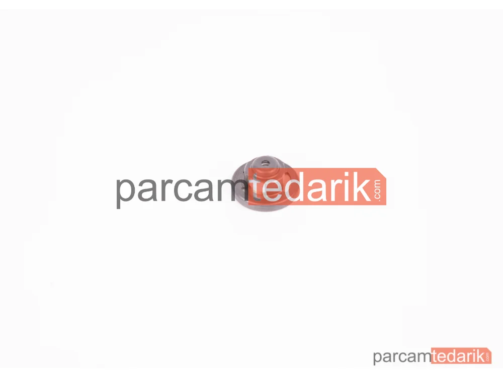 BOSCH 2447419002 | Yakıt Pompa Valfi