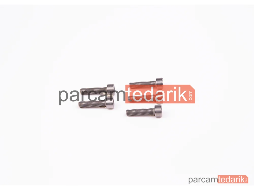 BOSCH F00N202192 | Silindirik Cıvata (BMW)
