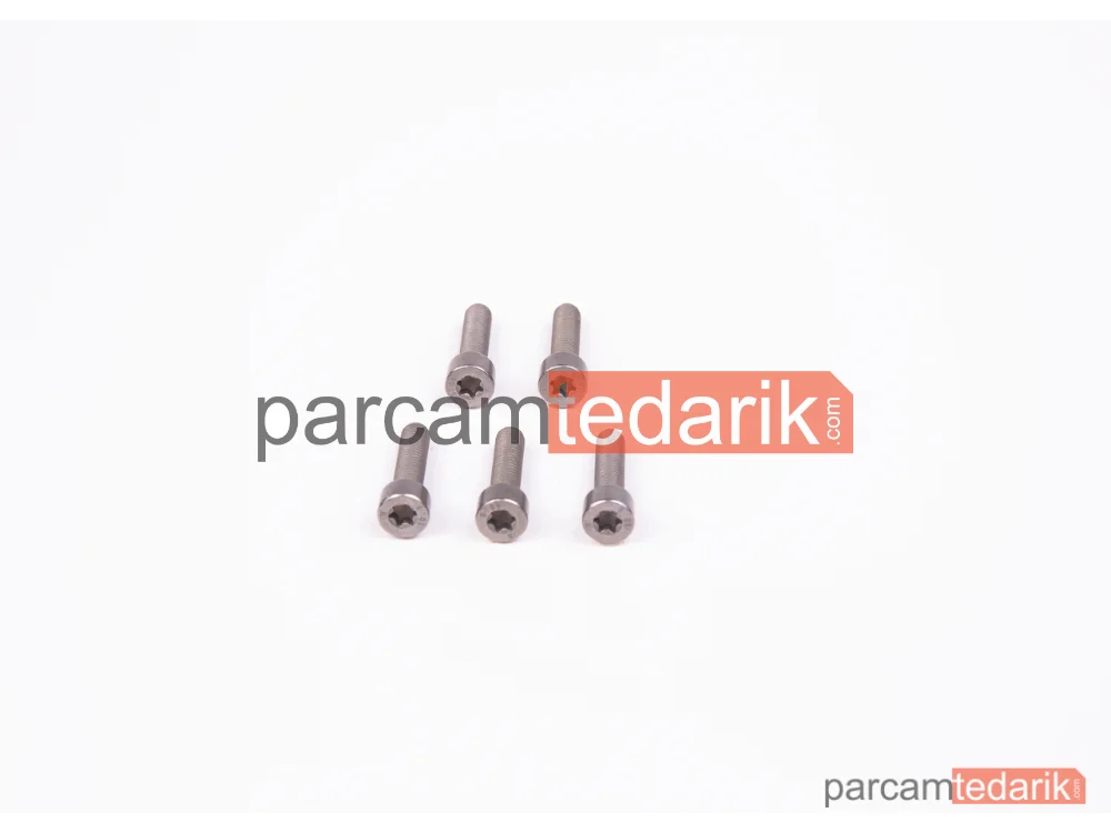BOSCH F00N202192 | Silindirik Cıvata (BMW)