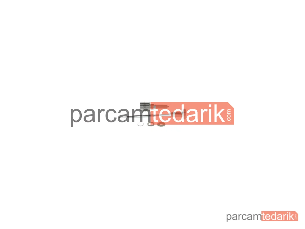 Tamir Seti - F00RJ04789