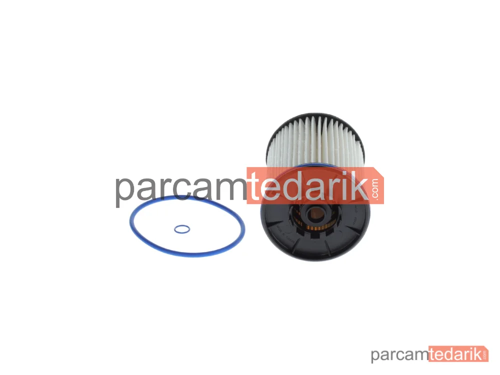 BOSCH F026402287 | Yakıt Filtresi — Opel Insignia B Grand Sport, Opel Insignia B