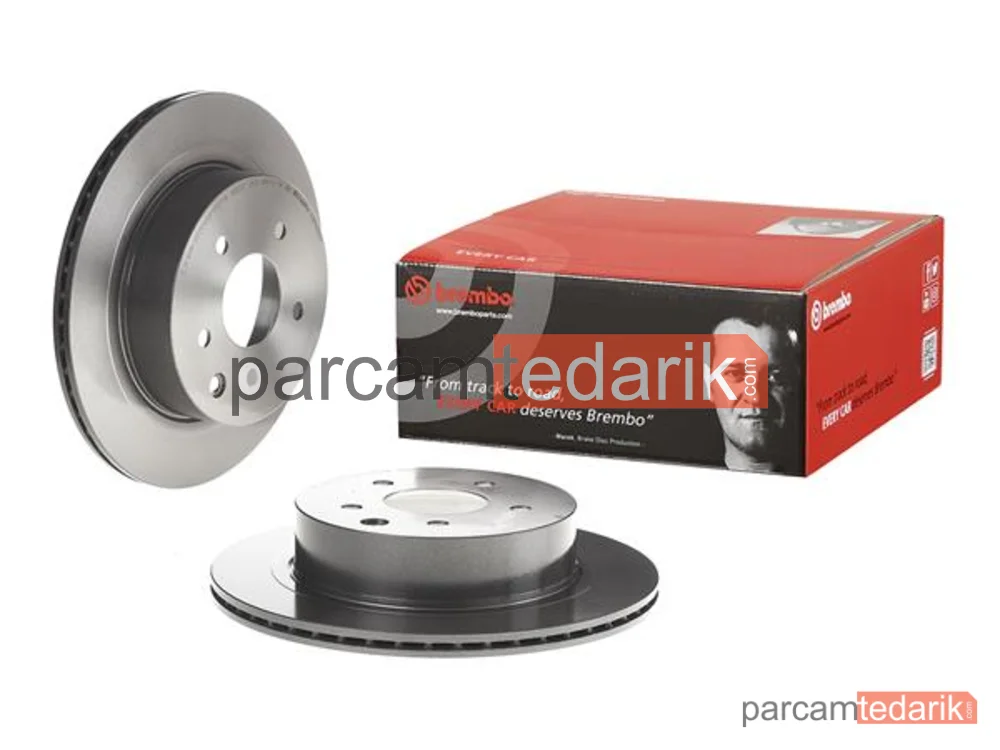 Fren Diski (Arka) — Nissan Qashqai I, Nissan X-Trail II, Renault Koleos I - 09896921