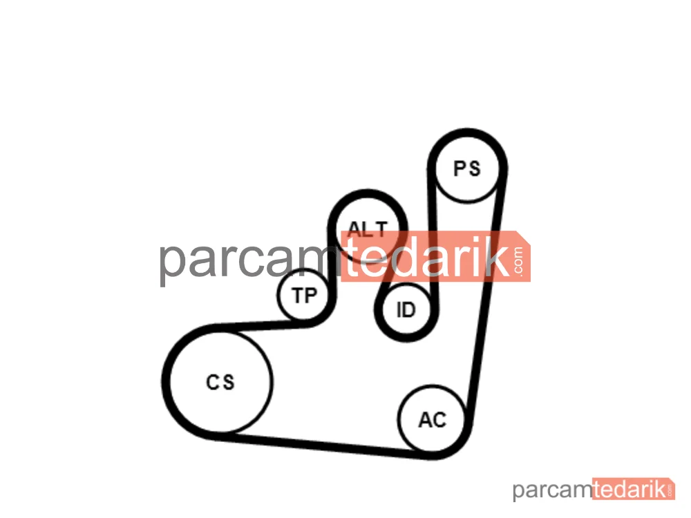 CONTITECH 6PK1145K1 | V Kanallı Kayış Seti — Seat Cordoba, VW Golf III, VW Golf III Variant