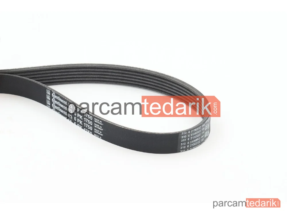 CONTITECH 6PK1750 | V Kanallı Kayış — Alfa Romeo 156, Alfa Romeo 156 Sportwagon, Citroën Berlingo / Berlingo FIRST Kasa/büyük limuzin