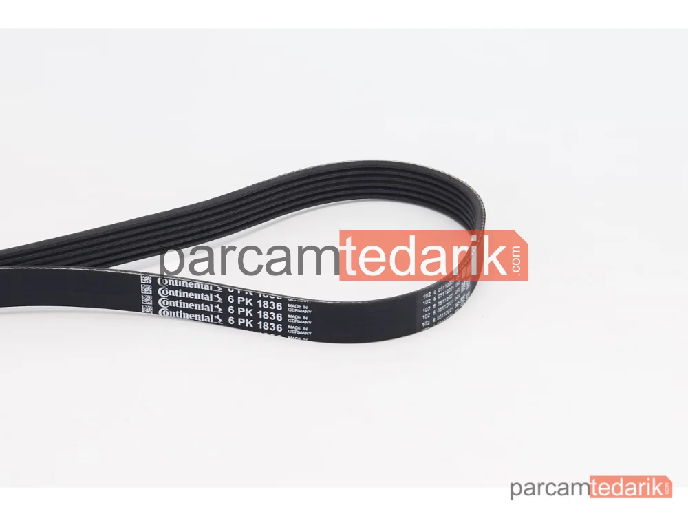6PK1836 | V Kanallı Kayış — BMW 3 Touring, Alfa Romeo 156, Alfa Romeo 156 Sportwagon