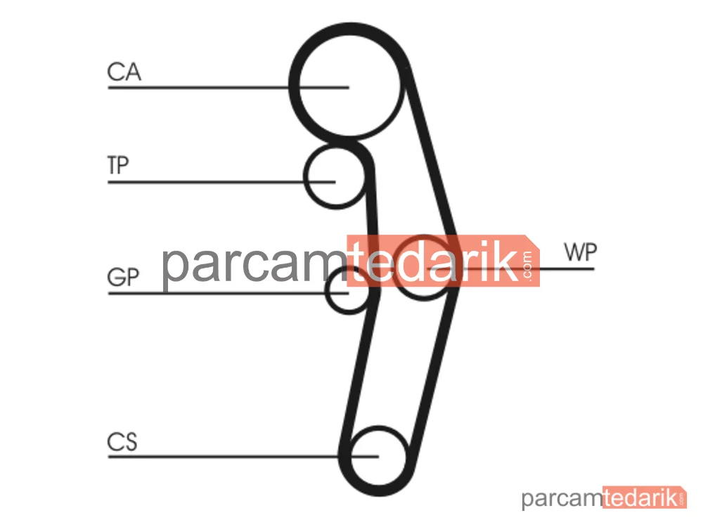 CONTITECH CT1028WP10 | Triger Seti (Su Pompalı) — Audi A2, Seat Arosa, Skoda Fabia I