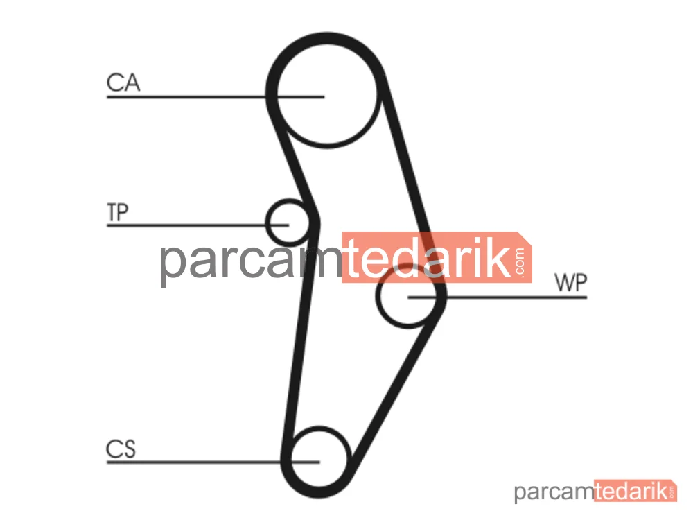 CONTITECH CT1049WP1 | Triger Seti (Su Pompalı) — Alfa Romeo Mito, Fiat 500X, Abarth 500 / 595 / 695