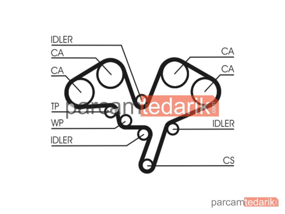 CONTITECH CT1052 | Triger Kayışı — Peugeot 406, Peugeot 406 Break, Peugeot 406 Coupe