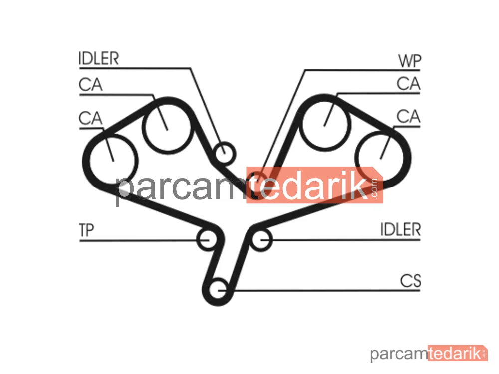 CONTITECH CT1068 | Triger Kayışı — Audi A4 B6 Cabrio, Audi A4 B7, Audi A6 C5