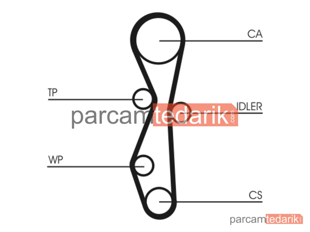 CONTITECH CT1140WP2 | Triger Seti (Su Pompalı) — Citroen Jumper III, Ford Galaxy III, Ford S-Max