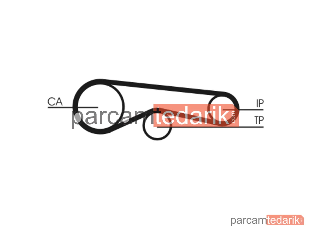 CONTITECH CT1094 | Triger Kayışı — Audi A5, Audi A4 B7, Audi A4 B8