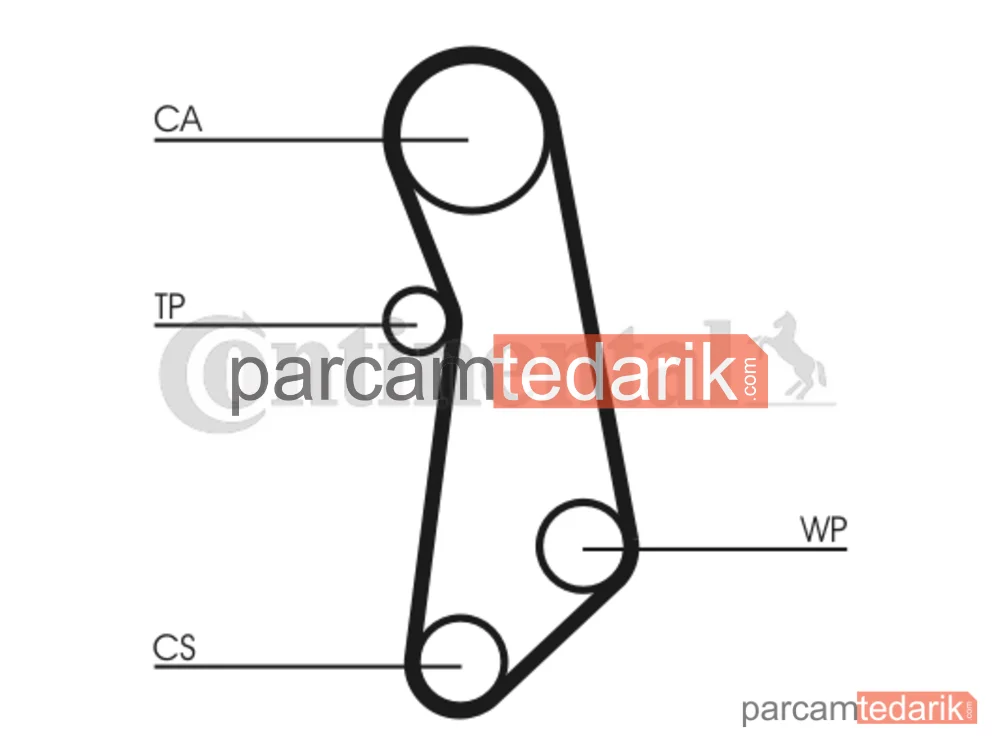 CONTITECH CT1115WP1 | Triger Seti (Su Pompalı) — Lancia Ypsilon, Fiat Punto Evo, Fiat Grande Punto