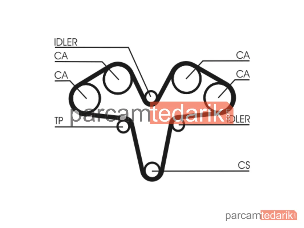 CONTITECH CT1119 | Triger Kayışı — Alfa Romeo 166, Alfa Romeo Gtv, Alfa Romeo 156