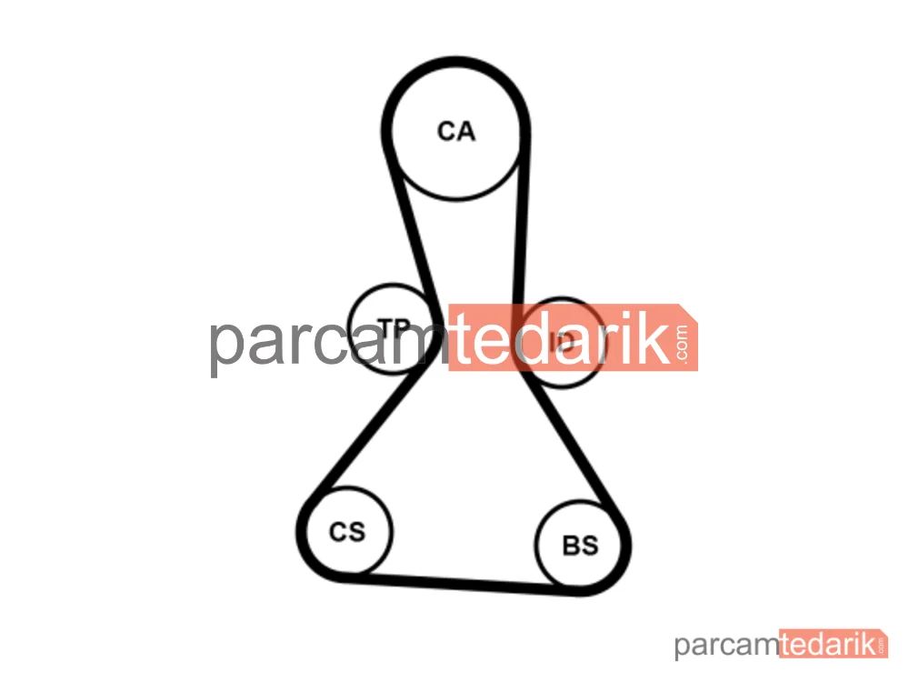 CONTITECH CT1159 | Triger Kayışı