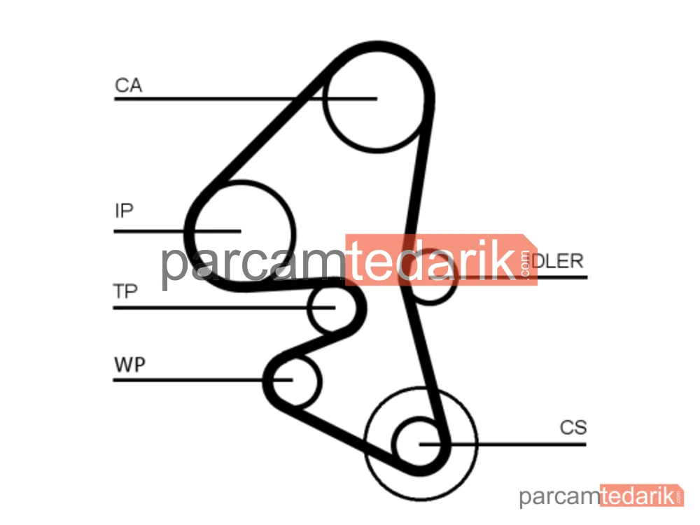 CONTITECH CT1162 | Triger Kayışı (25.4 mm) — Peugeot Partner, Citroen Berlingo