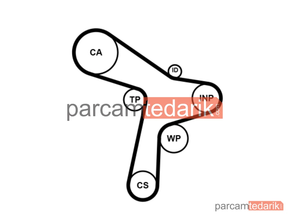 CONTITECH CT1168 | Triger Kayışı — Audi A4 B9, Seat Leon ST, VW Transporter T6 / Caravelle T6