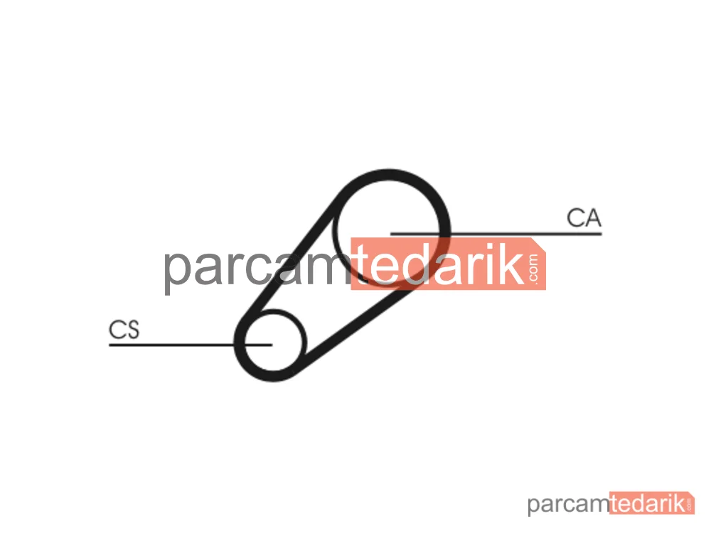 CONTITECH CT648 | Triger Kayışı — Fiat 131, Fiat 131 Familiare/Panorama, Fiat 238