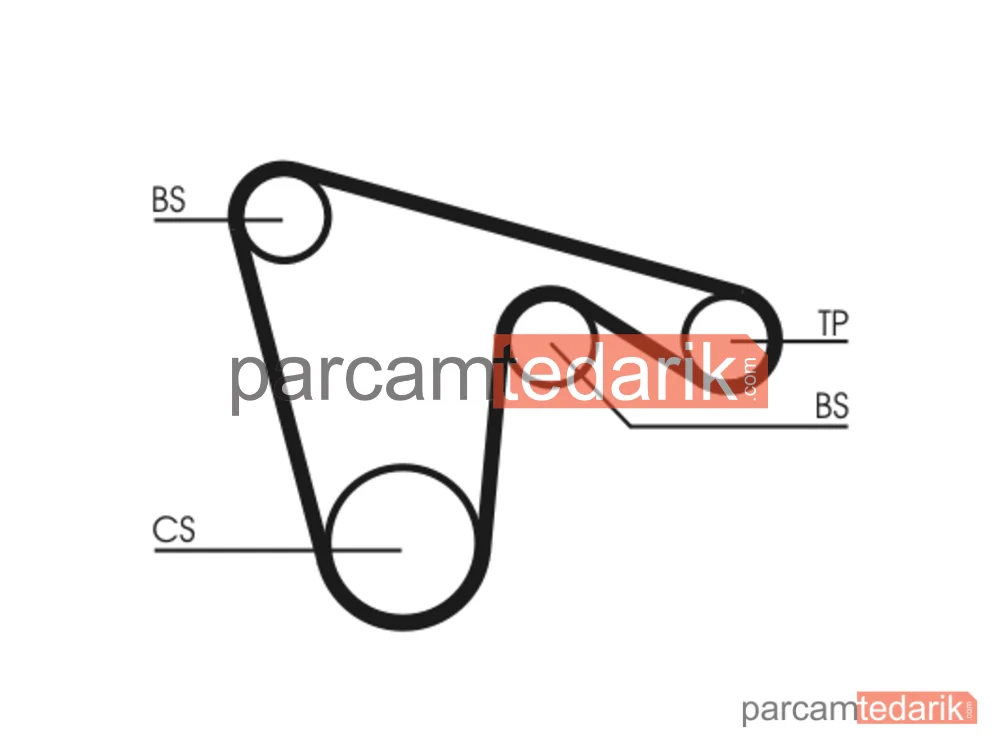 CONTITECH CT970 | Triger Kayışı — Alfa Romeo 156 Sportwagon, Alfa Romeo Gtv, Alfa Romeo 145