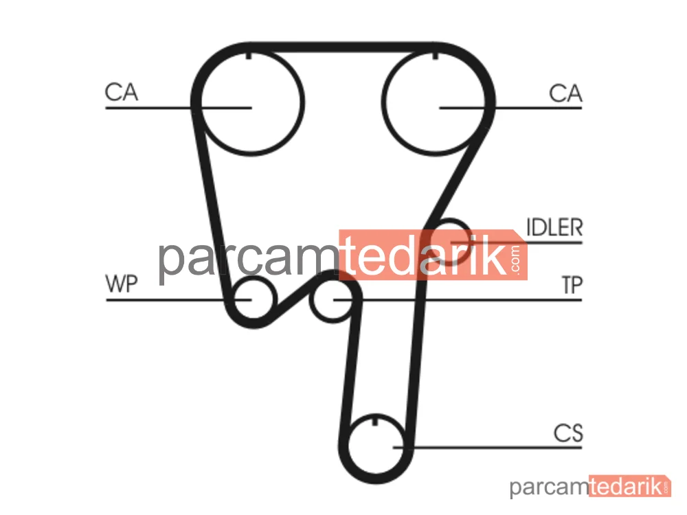 CONTITECH CT979WP2 | Triger Seti — Ford Focus II, Ford KUGA I, Ford Mondeo IV