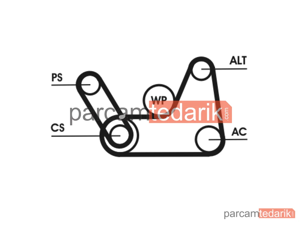 6PK1019ELASTT1 | V Kanallı Kayış Seti — Ford Fusion, Ford Fiesta V, Mazda 2