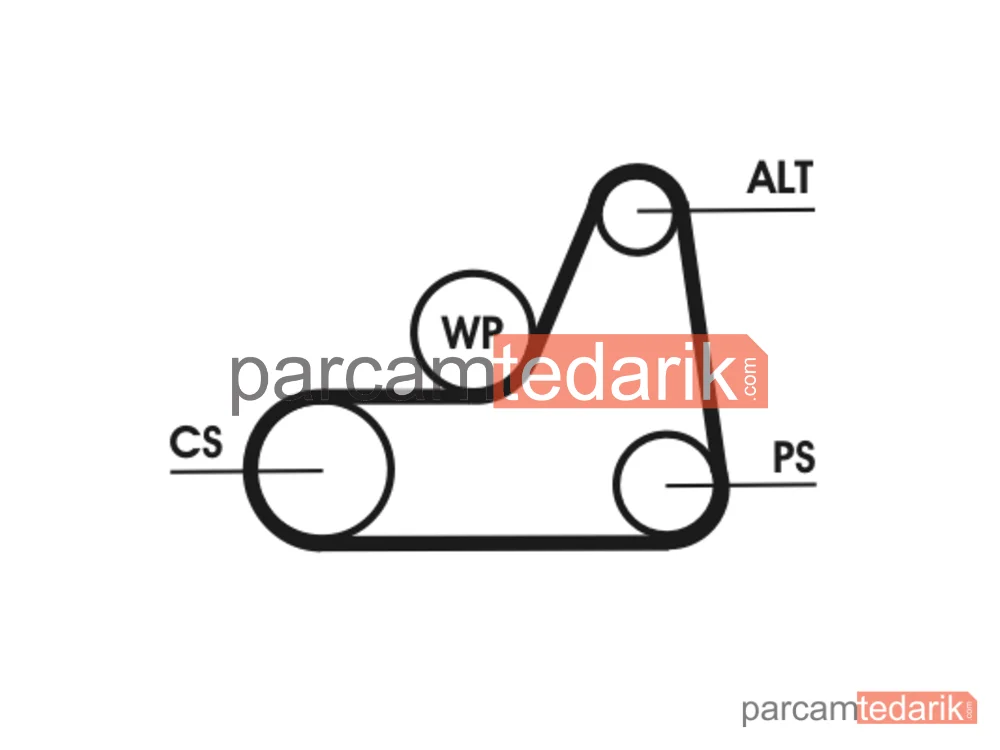CONTITECH 6PK1042ELAST | V Kanallı Kayış — Ford Fiesta V, Ford Focus I, Ford Focus I Sedan