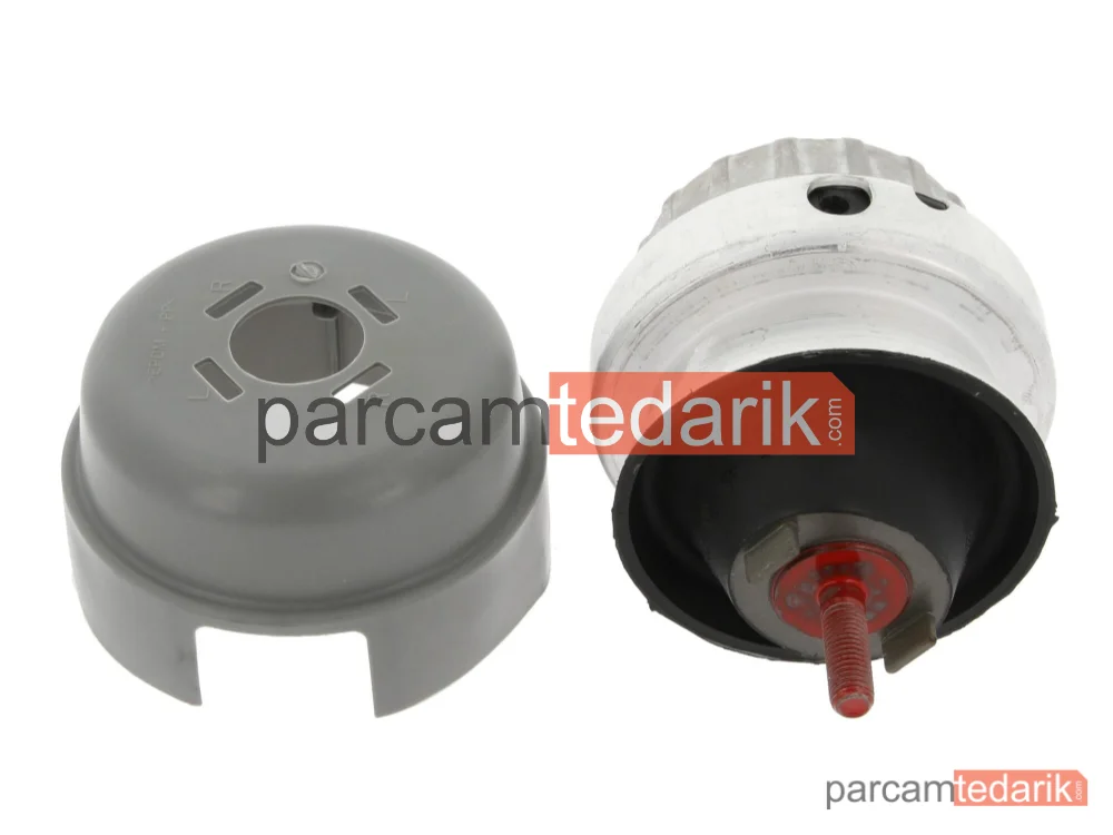 CORTECO 80004293 | Motor Takozu — Audi A6 C6, Audi A6 C6 Avant