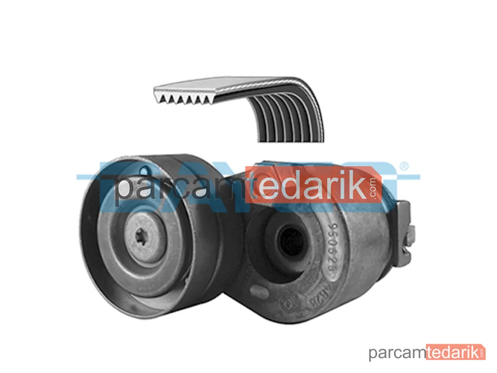V Kanallı Kayış Seti — Renault GRAND SCÉNIC II, Renault Megane CC, Renault Megane II - KPV150