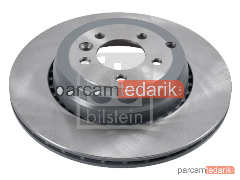 170106 | Fren Diski — Arka, Range Rover SPORT 5.0 Disk (Adet)