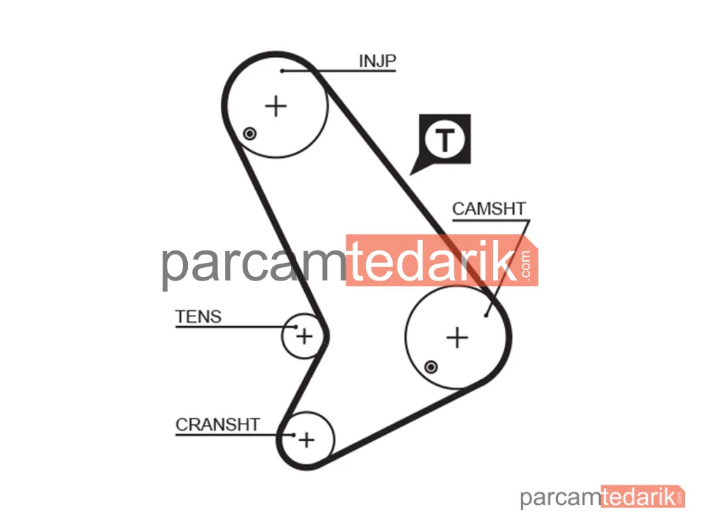 5064 | Triger Kayışı (130 Diş) — Ford Transit