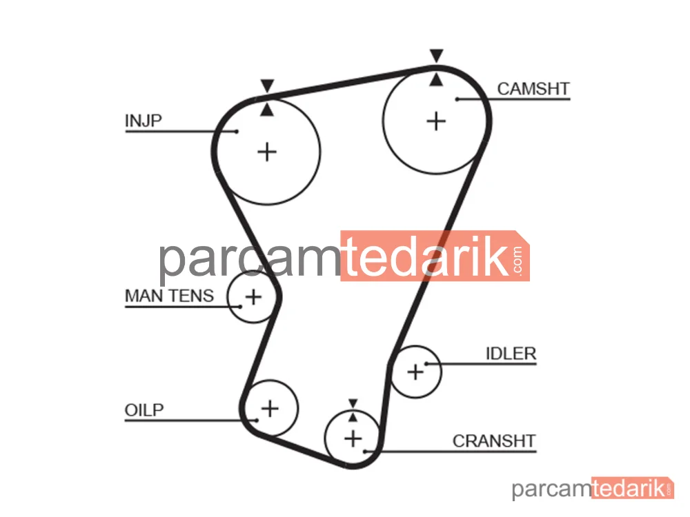 Triger Kayışı (133 Diş) — Fiat 127, Fiat 127 Panorama, Fiat 147 - 5065