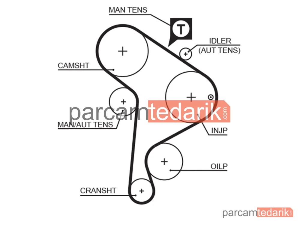 GATES K025223XS | Triger Seti — Seat Cordoba, Seat Ibiza II, Seat Toledo I