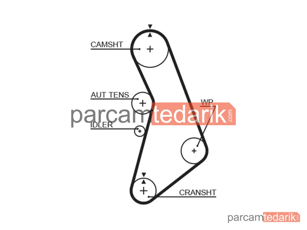 5491XS | Triger Kayışı — Audi A3, Audi A4 B5, Audi A4 B6 Cabrio