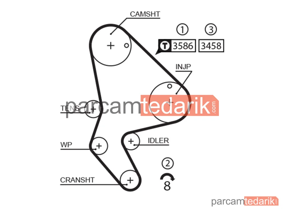 GATES K015524XS | Triger Seti — Citroen Xantia, Citroen Xantia Break, Fiat Ducato