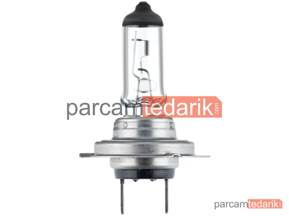 8GH178555251 | Ampuller — Mercedes-Benz Arocs