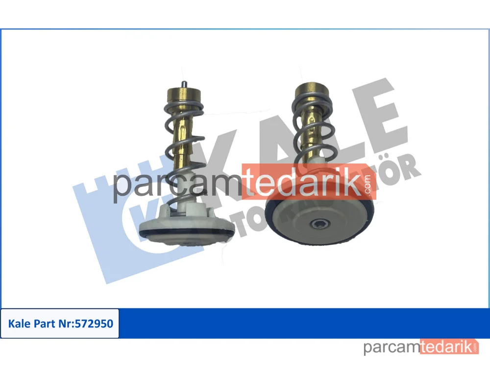 572950 | Termostat — Skoda Fabia II Combi, Seat Cordoba, Seat Ibiza III