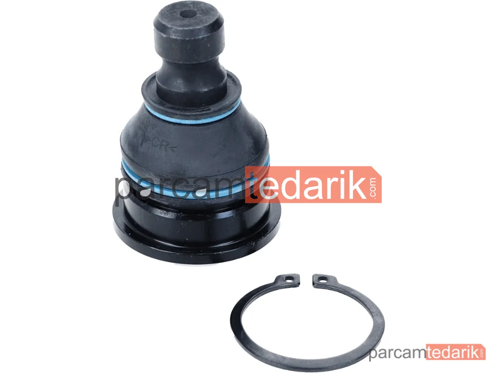 3035901 | Rotil — Hyundai Santa FÉ II, Hyundai Santa FÉ I, Hyundai Trajet Kasa/büyük limuzin