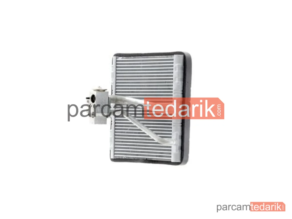 BEHR AE194000P | Klima Evaporatörü — VW Audi Seat Skoda