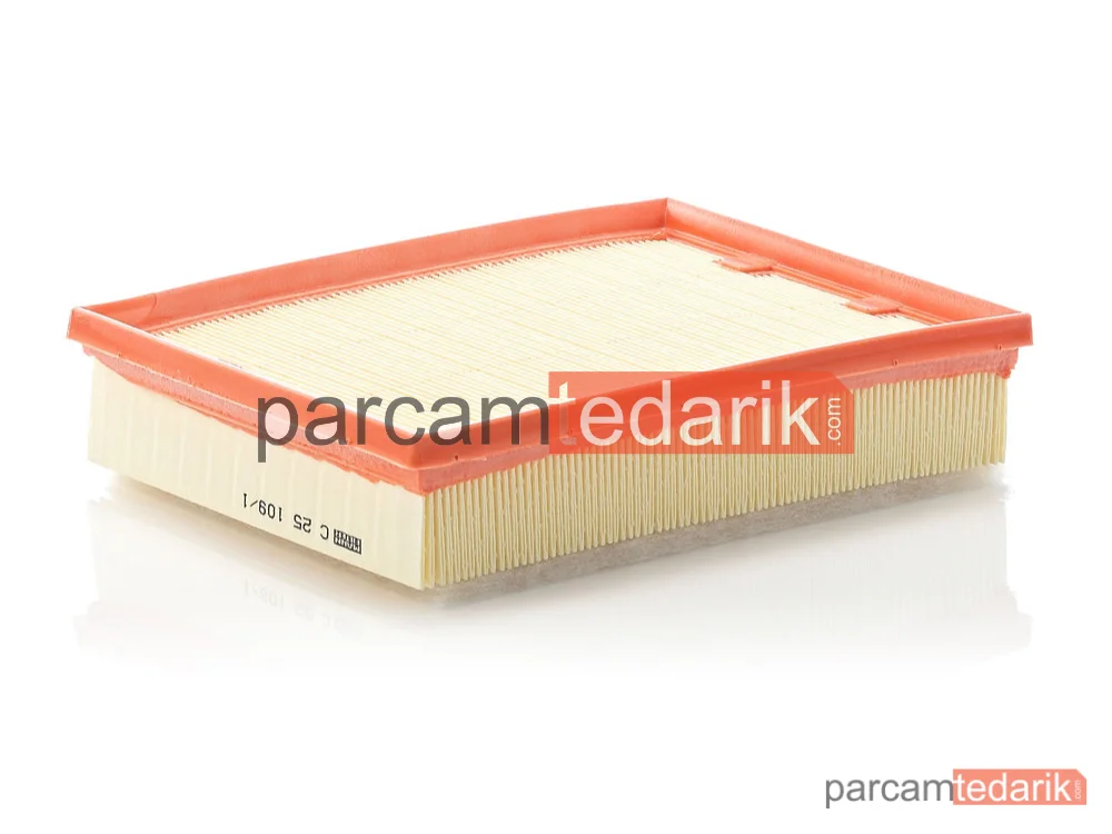 C25109/1 | Hava Filtresi — Renualt Laguna III .5-2.0 DCİ 07-15