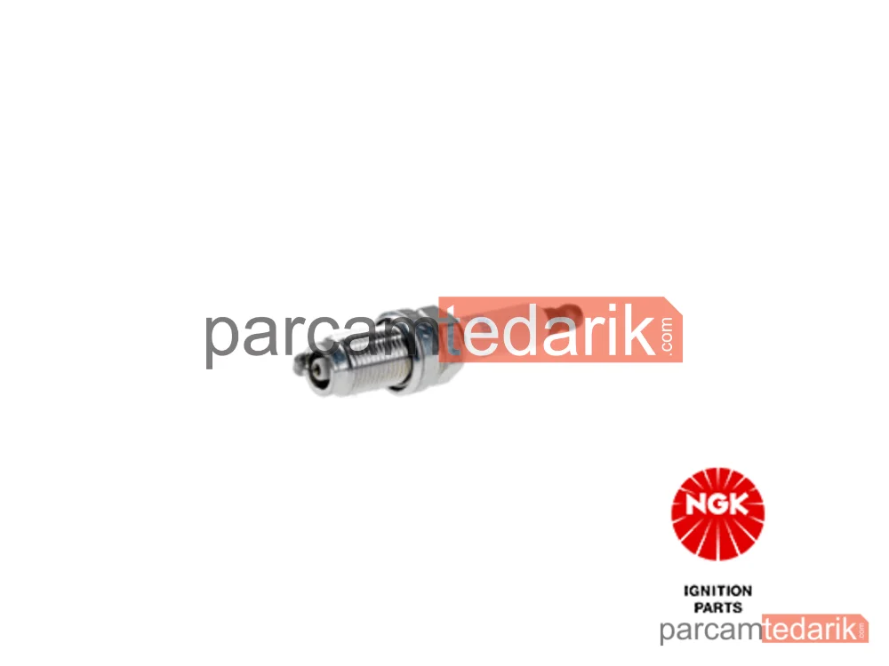 96209 | Buji — VW Tiguan, VW Golf V Variant, VW Touran