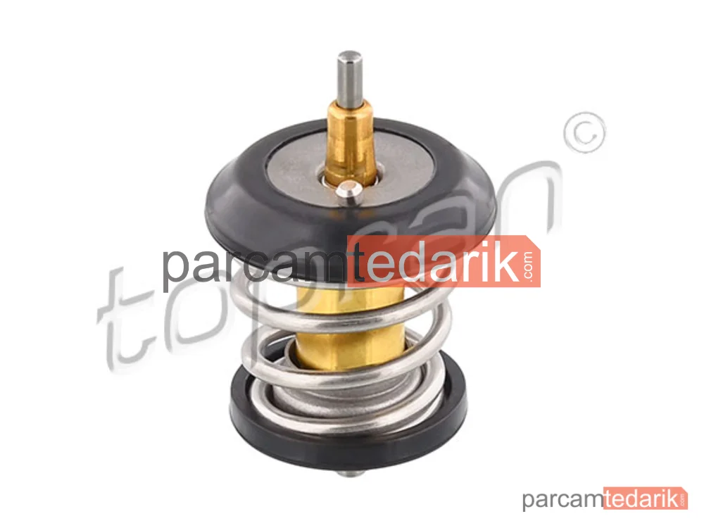 113297001 | Termostat — Audi A4 B8 Avant, Audi A4 B8, Audi A5 Cabrio