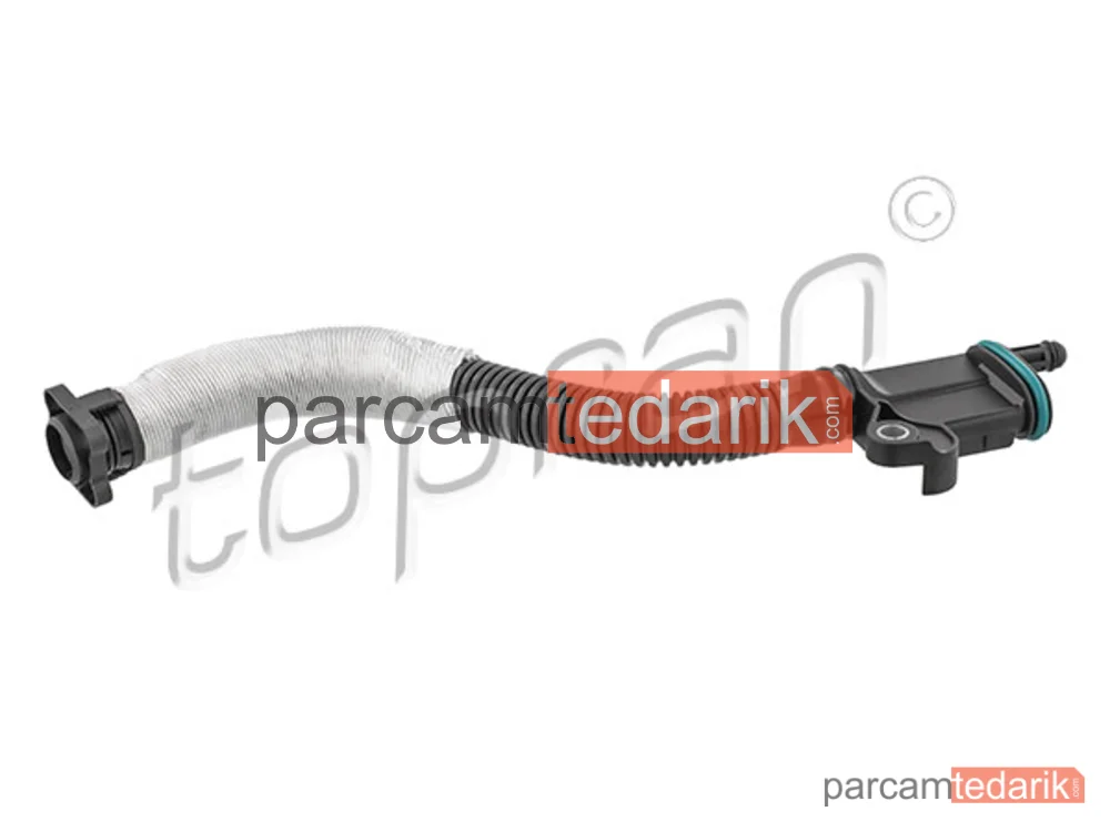 116667001 | Külbütör Kapak Contası — Audi TT, Audi TT Roadster, VW Beetle