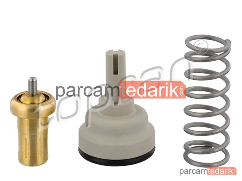 113295001 | Termostat — Audi A1 Sportback, Audi A3 Cabrio, Seat Leon